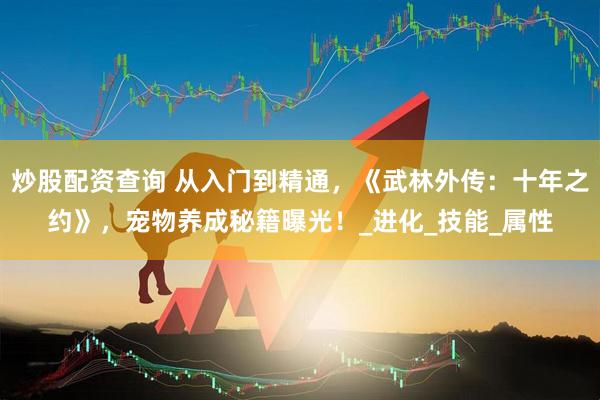 炒股配资查询 从入门到精通，《武林外传：十年之约》，宠物养成秘籍曝光！_进化_技能_属性