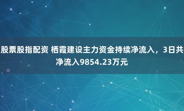 股票股指配资 栖霞建设主力资金持续净流入，3日共净流入9854.23万元