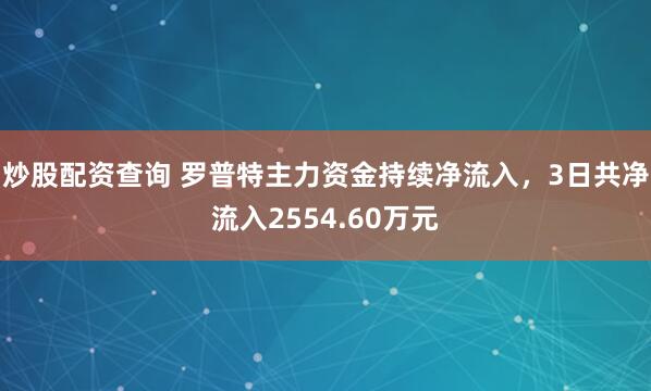 炒股配资查询 罗普特主力资金持续净流入，3日共净流入2554.60万元