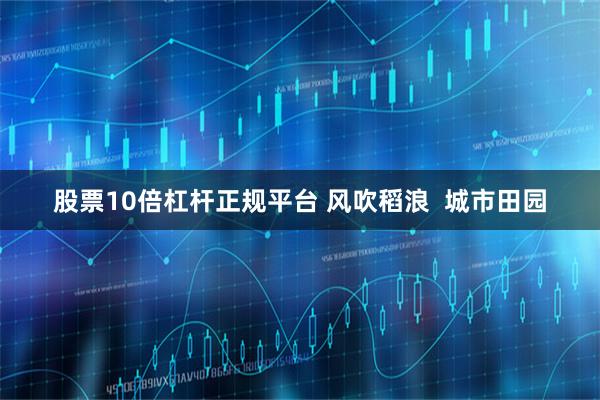 股票10倍杠杆正规平台 风吹稻浪  城市田园