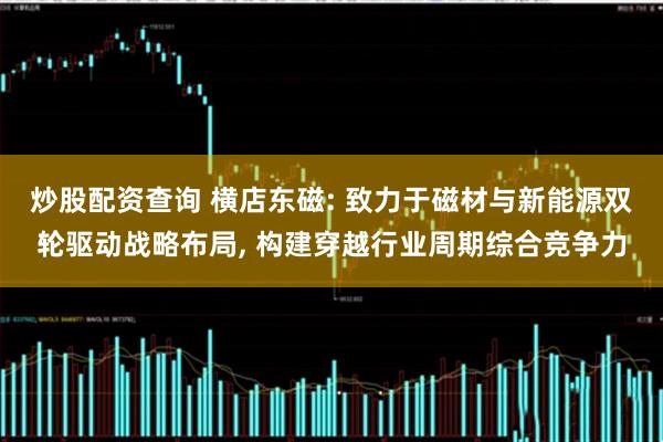 炒股配资查询 横店东磁: 致力于磁材与新能源双轮驱动战略布局, 构建穿越行业周期综合竞争力